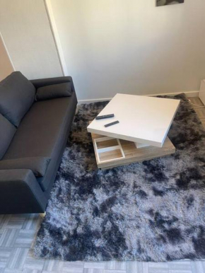 Appartement Croix rousse 69004